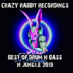 Best of Drum and Bass N Jungle 2019