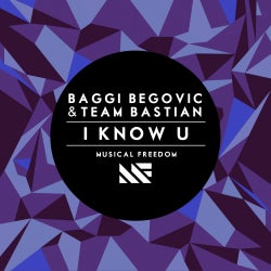Baggi Begovic "I Know U" Chart