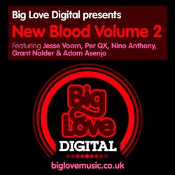 Big Love Digital presents New Blood Vol. 2