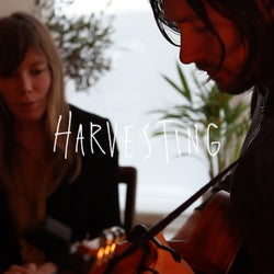 Harvesting (Acoustic)