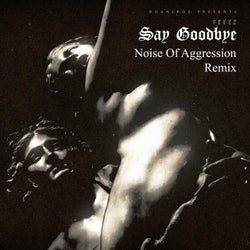 Say Goodbye (Noise of Aggression Remix)