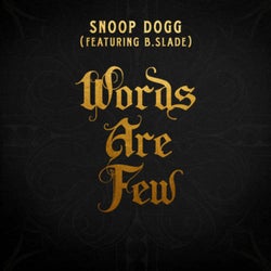 Words Are Few (feat. B Slade)