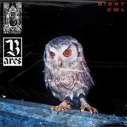 Night Owl