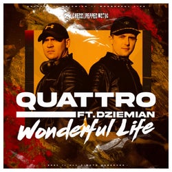 Wonderful Life (feat. Dziemian)