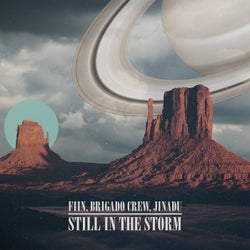Still In The Storm - Extended Mix