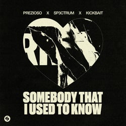 Somebody That I Used To Know (Extended Mix)