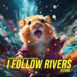 I Follow Rivers (Techno)