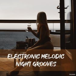 Electronic Melodic Night Grooves