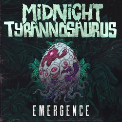 Emergence