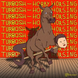 HOBBY HORSING