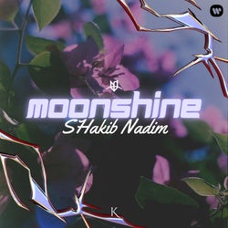 Moonshine