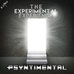 The Experimental Experience