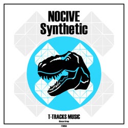 Synthetic (Original Mix)