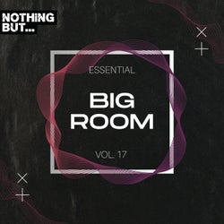 Nothing But... Essential Big Room, Vol. 17