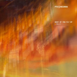 What If You Fly EP