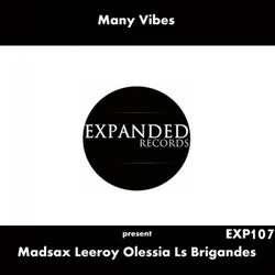 Many Vibes Present Madsax, Leeroy, Olessia, Ls Brigandes