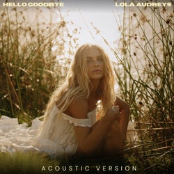 Hello Goodbye (Acoustic)