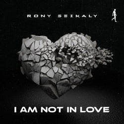 I Am Not In Love (Extended Mix)