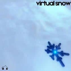 Virtual Snow