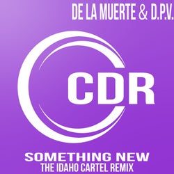 Something New (The Idaho Cartel Remix)