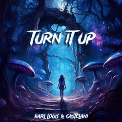 Turn It up (Extended Mix)