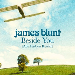 Beside You (Alle Farben Remix)