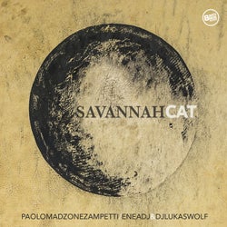 Savannah Cat