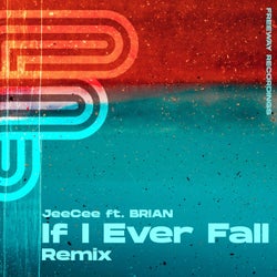 If I Ever Fall (Remix)