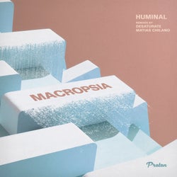 Macropsia (Desaturate, Matias Chilano Remixes)
