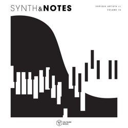 Synths & Notes Vol. 10