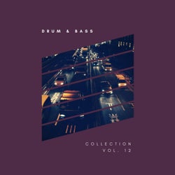 Sliver Recordings: Drum & Bass, Collection, Vol. 12