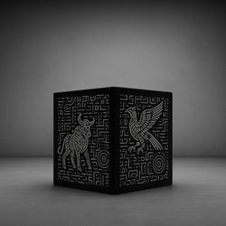 Black Box