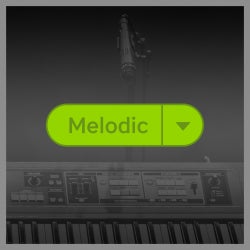 Top Tagged Tracks: Melodic