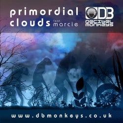 Primordial Clouds