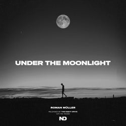 under the moonlight