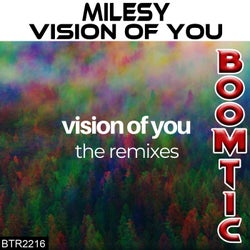 Vision Of You