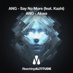 Say No More / Akwa