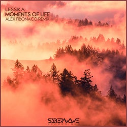 Moments of Life (Alex Fibonacci Remix)