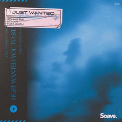 I Just Wanted You To Stay (feat. Tom Jack)
