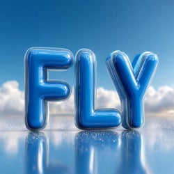Fly