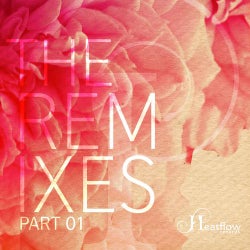 The Remixes Part 01