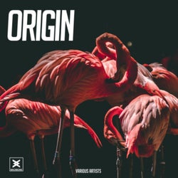 Origin