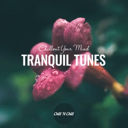 Tranquil Tunes: Chillout Your Mind