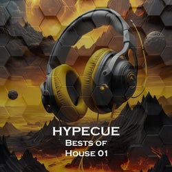 Bests of House 01
