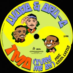 TMO (Turn Me On) [feat. Kevin Lyttle] [Extended Mix]