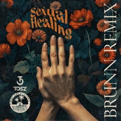 Sexual Healing (BRUNN Remix)