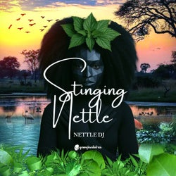 Stinging Nettle