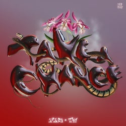 Take A Chance - Extended Mix