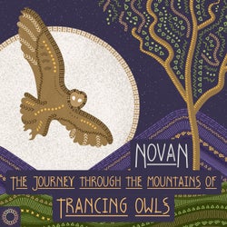 The Journey Through The Mountains Of Trancing Owls