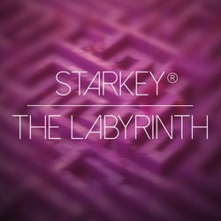 The Labyrinth